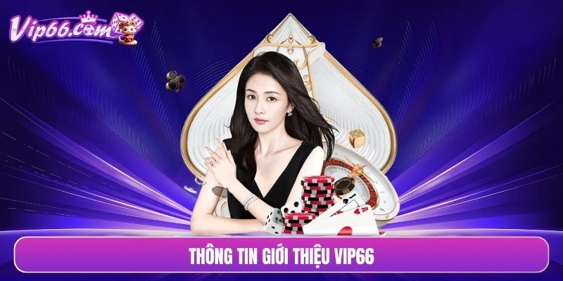 Thông tin giới thiệu VIP66